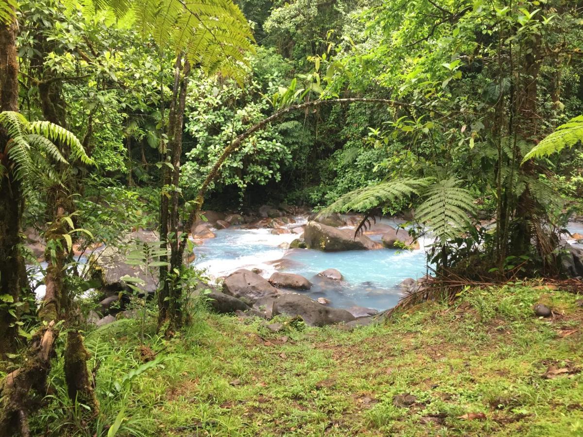Cabinas Piuri Rio Celeste Extérieur photo