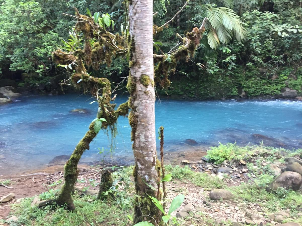 Cabinas Piuri Rio Celeste Extérieur photo